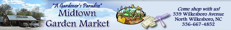 Midtown Garden Market
