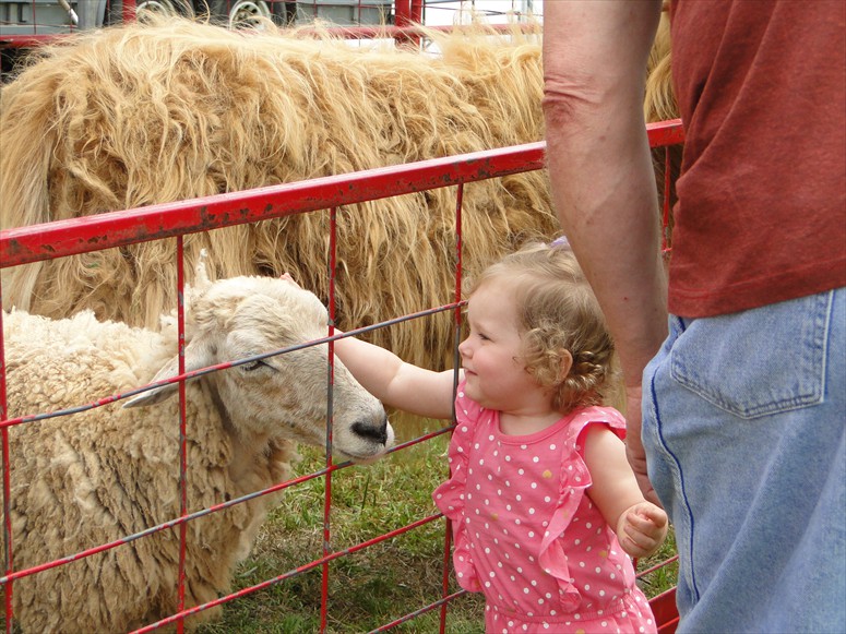 Awwww...the Petting Zoo is so much fun!