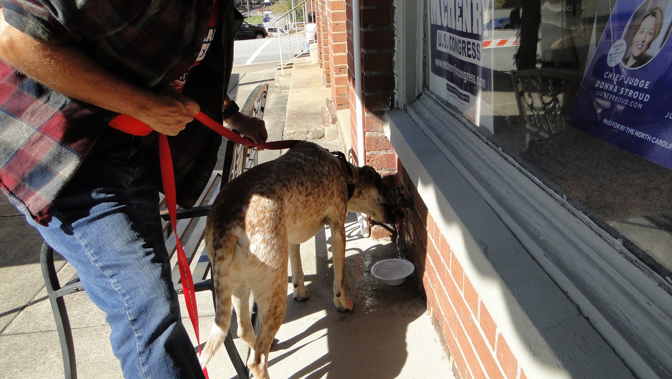 Getting a cool drink from the water spigot.