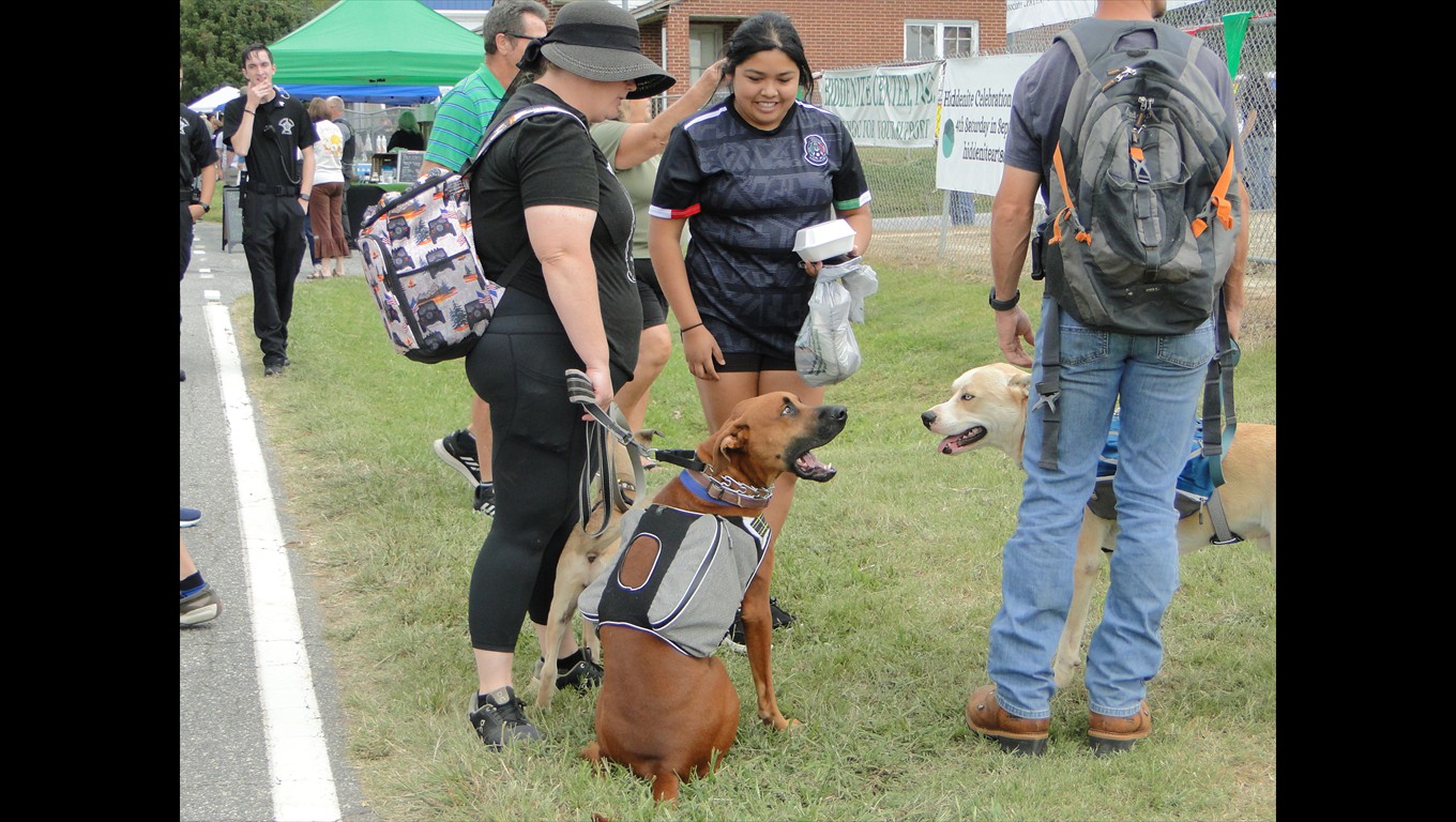 It was a great day for everyone - dogs included!