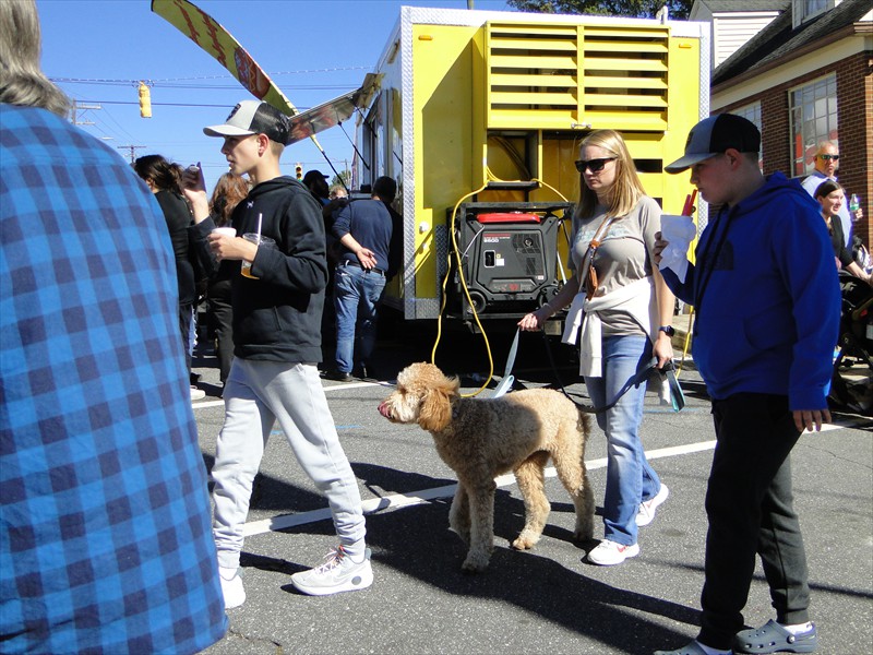 Furry Friends enjoy the day!